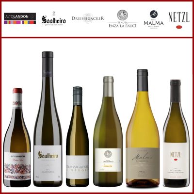 Mixed White Wine Box - Premium - Holy Wines - Malta's Leading Online Wine Store