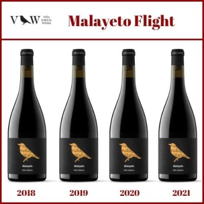 Malayeto - Flight - Vina Zorzal - Garnacha - Navarra - Spain - Single Vineyard - Holy Wines